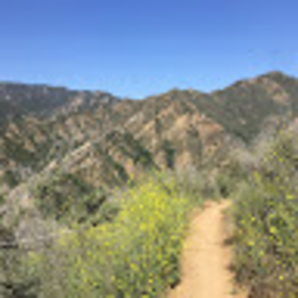 Meet your Posher, Janelle